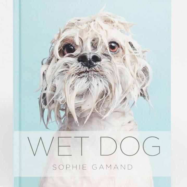 Livre 'Wet Dog'