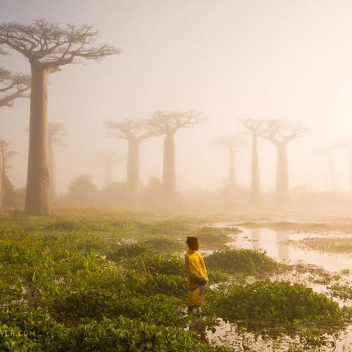 Dit zijn de 20 beste foto's van 2015 volgens National Geographic