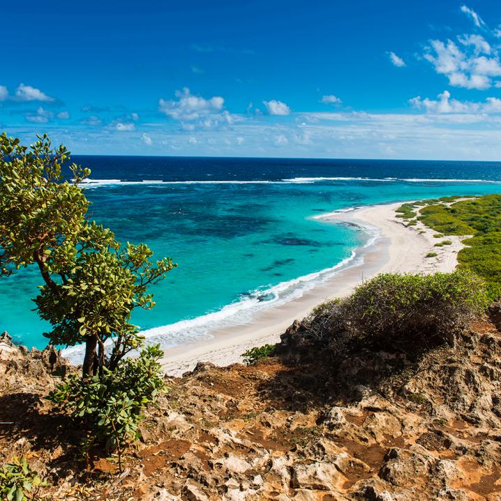 Barbuda (Caraïbes)