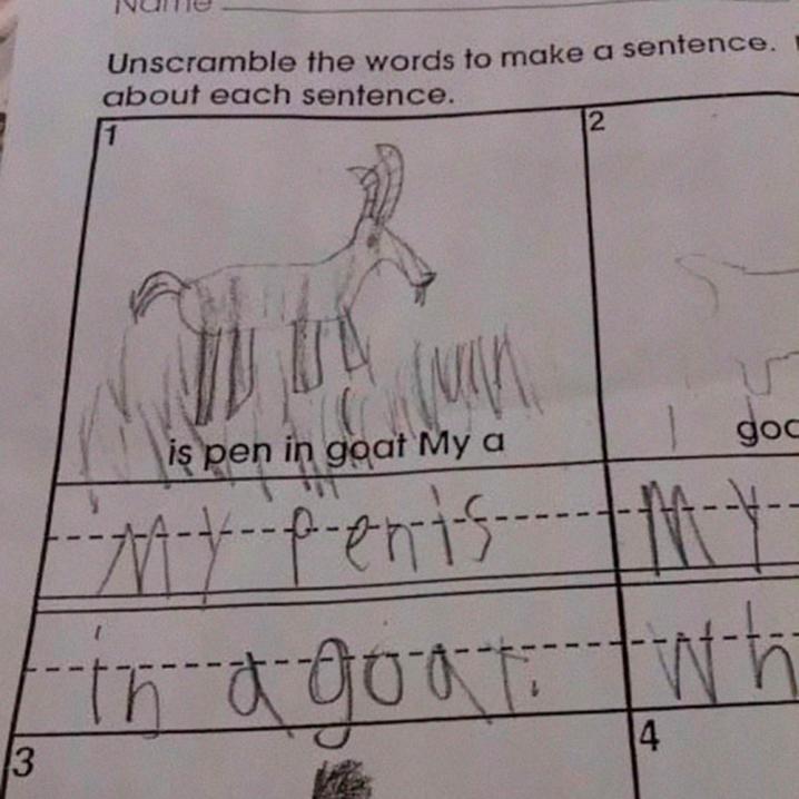 'My penis in a goat.'