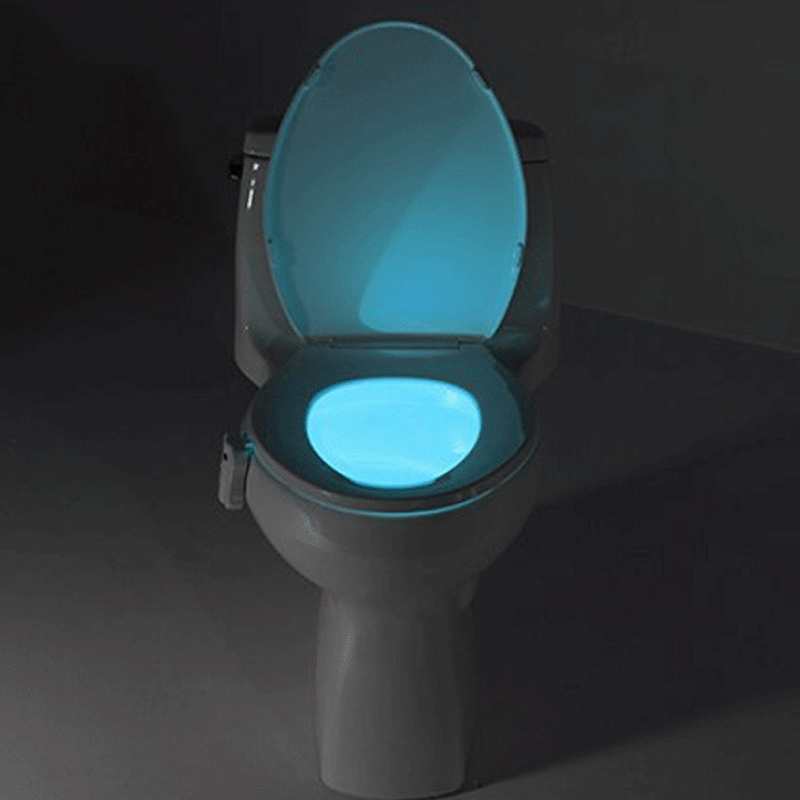 Glow-in-the-dark toilet