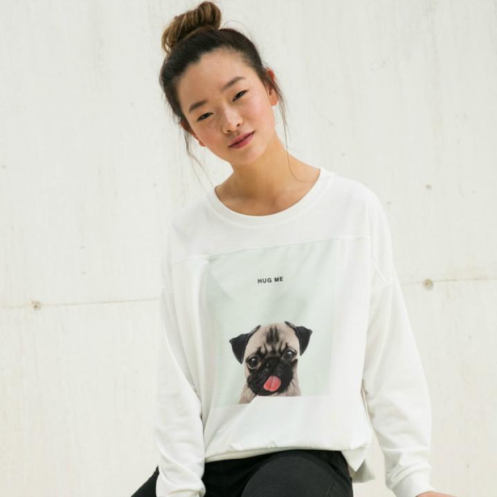 Pug sweater
