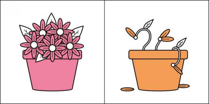 Vous savez prendre soin des fleurs?