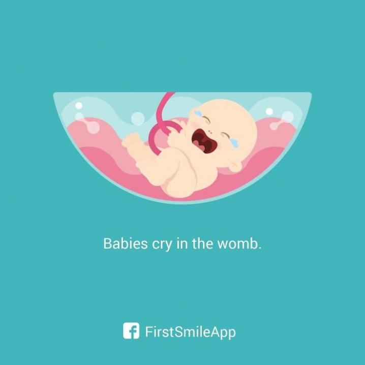 Zwangerschapsfeitjes