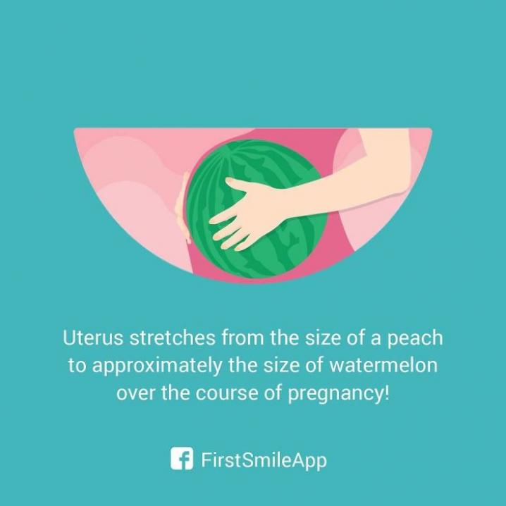 Zwangerschapsfeitjes