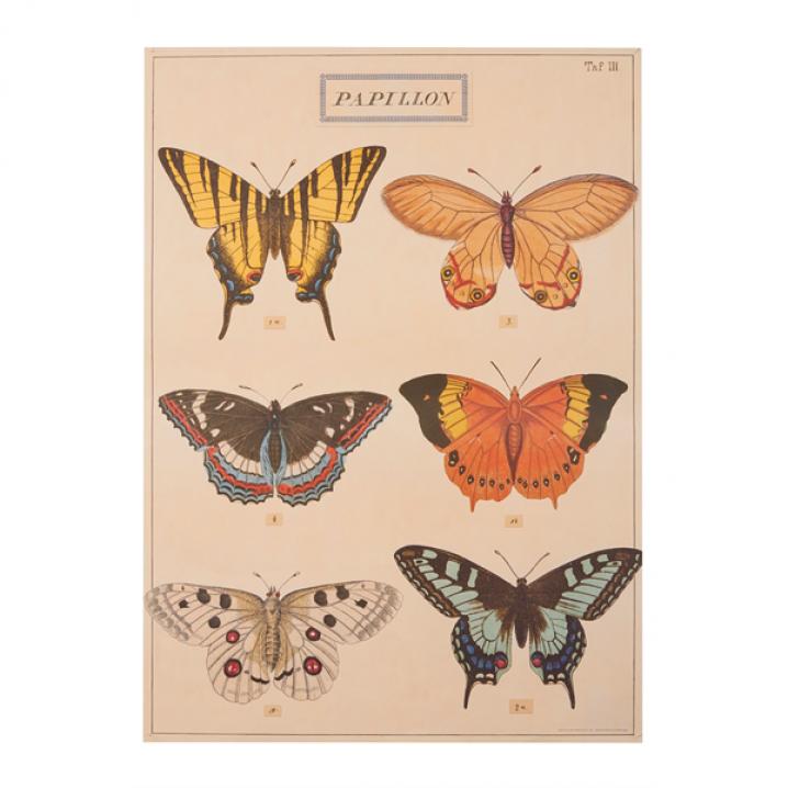 Poster met afbeeldingen van vlinders