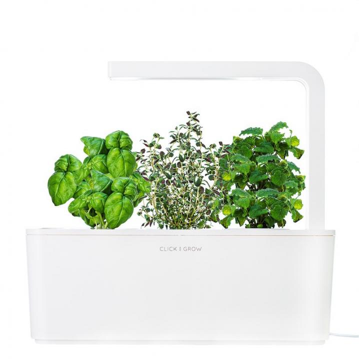 Smart herb garden