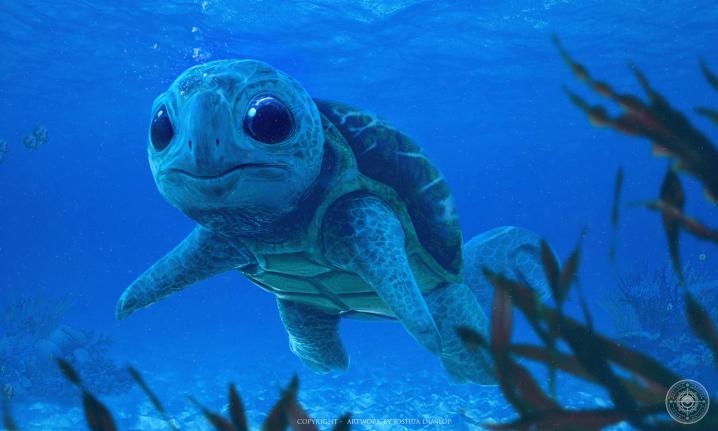 real squirtle