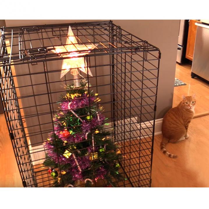 Creatieve oplossingen om je huisdier uit de kerstboom te houden