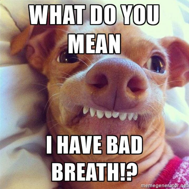 smelly breath