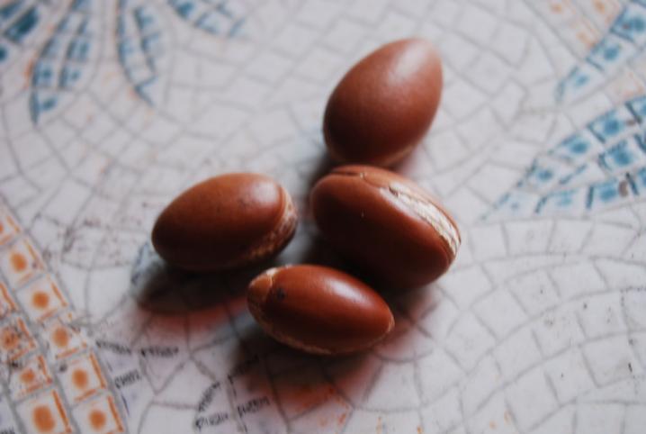 sfeer argan