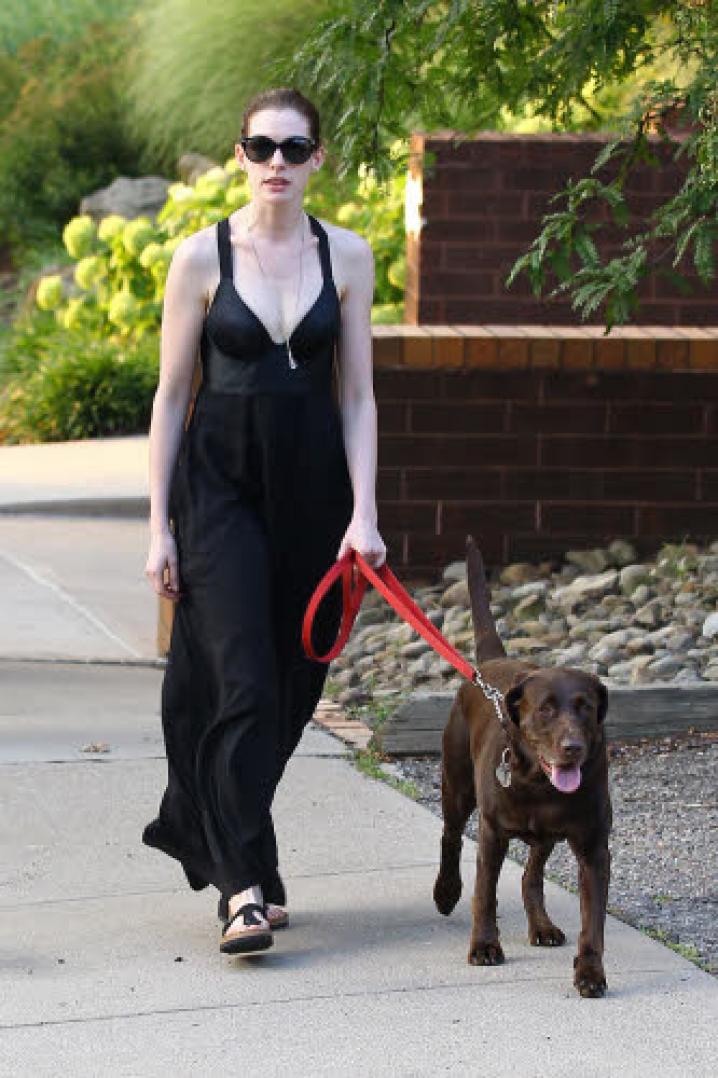 Anne Hathaway  chien