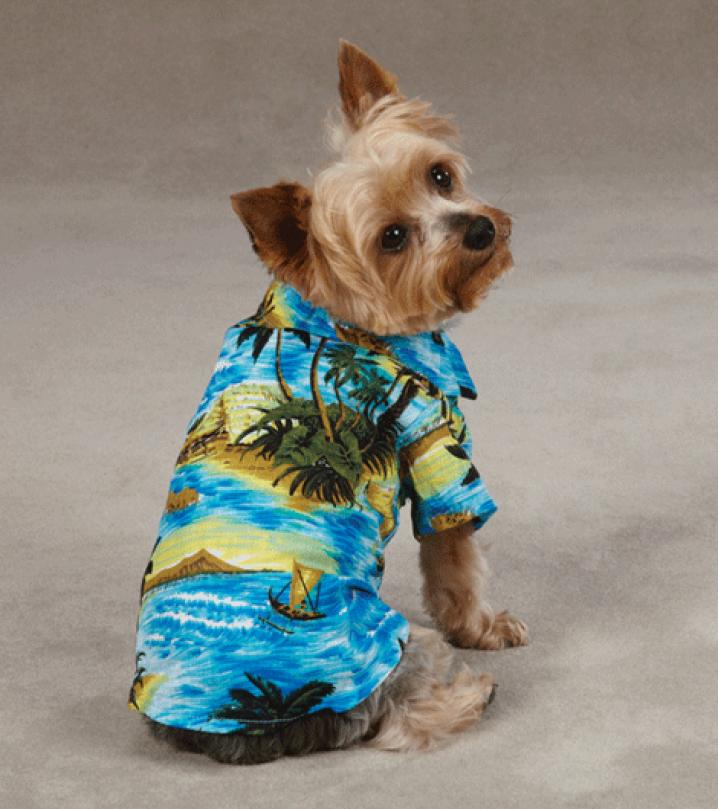 aloha dog hawaiian shirt.gif