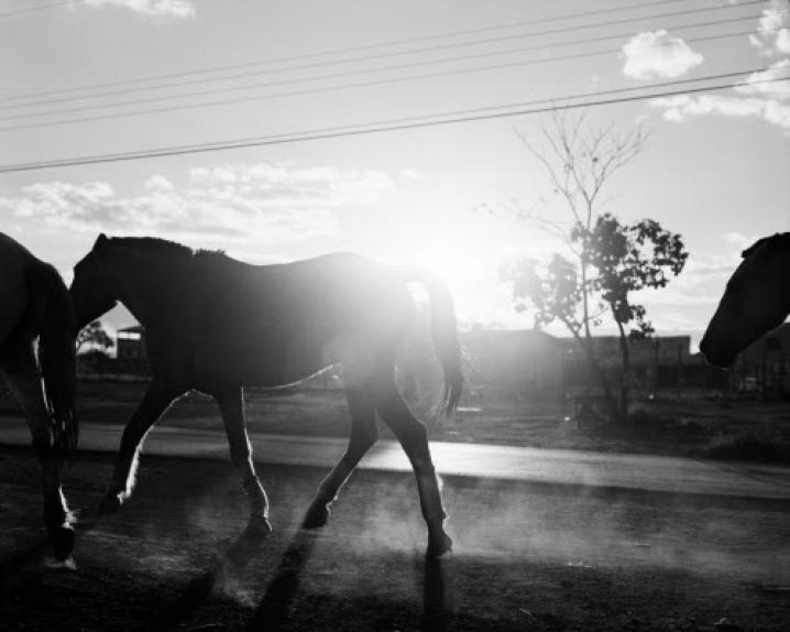 Reporters 20071127 174601 6