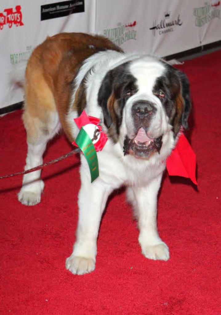 Reporters a79852 040