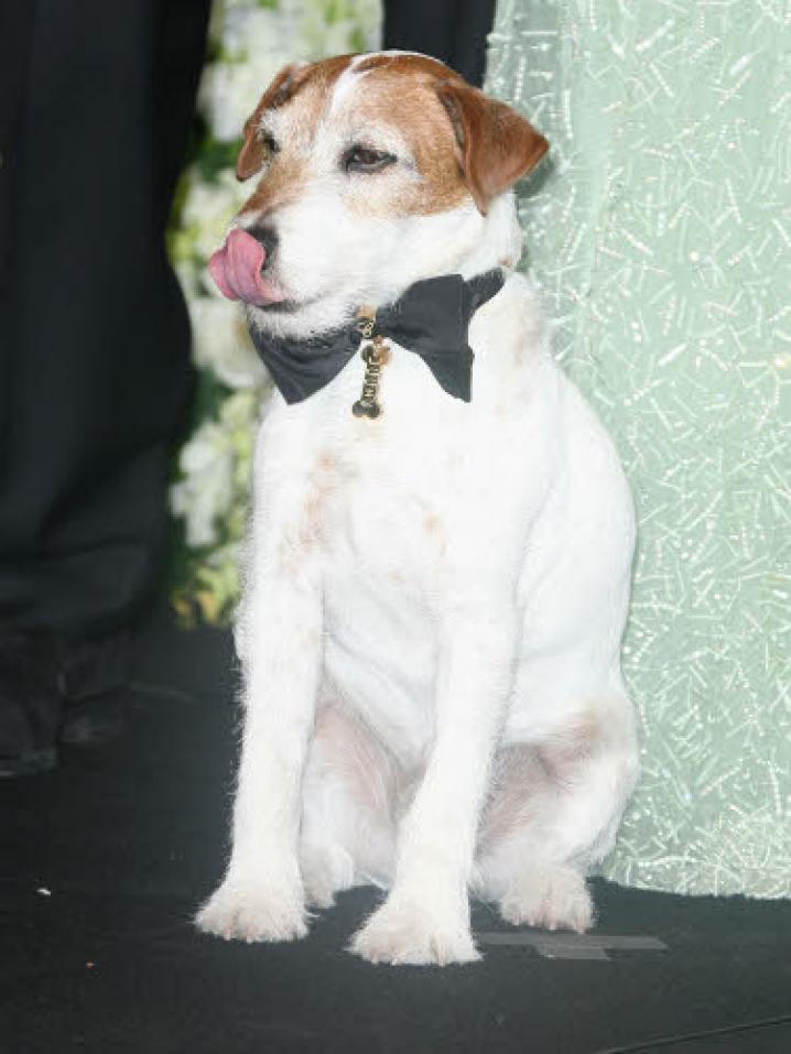 Reporters arspr3adm120227 42