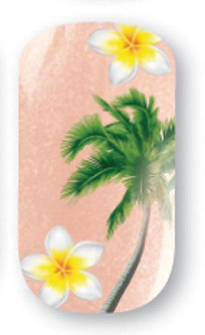 stickers ongles professionails (23)