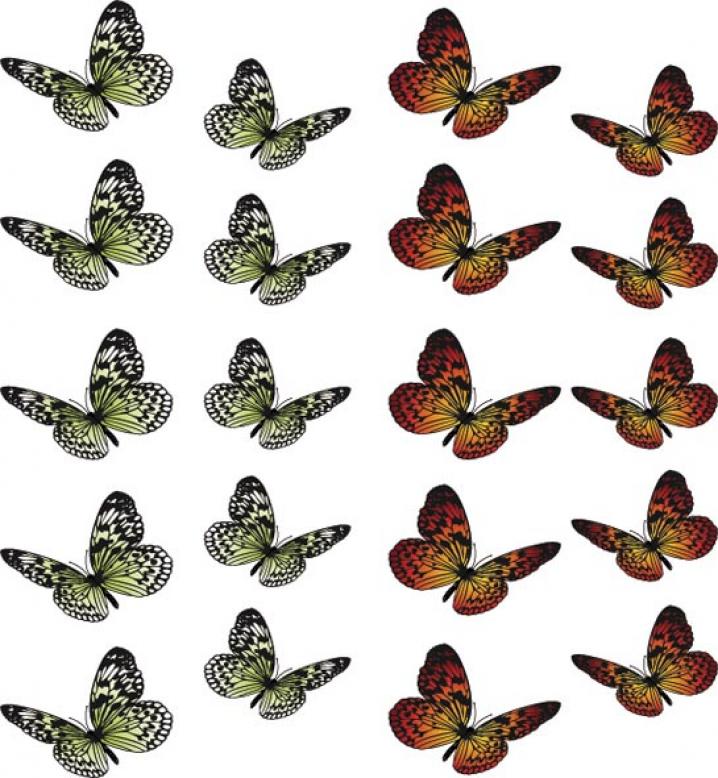 stickers ongles professionails (32)
