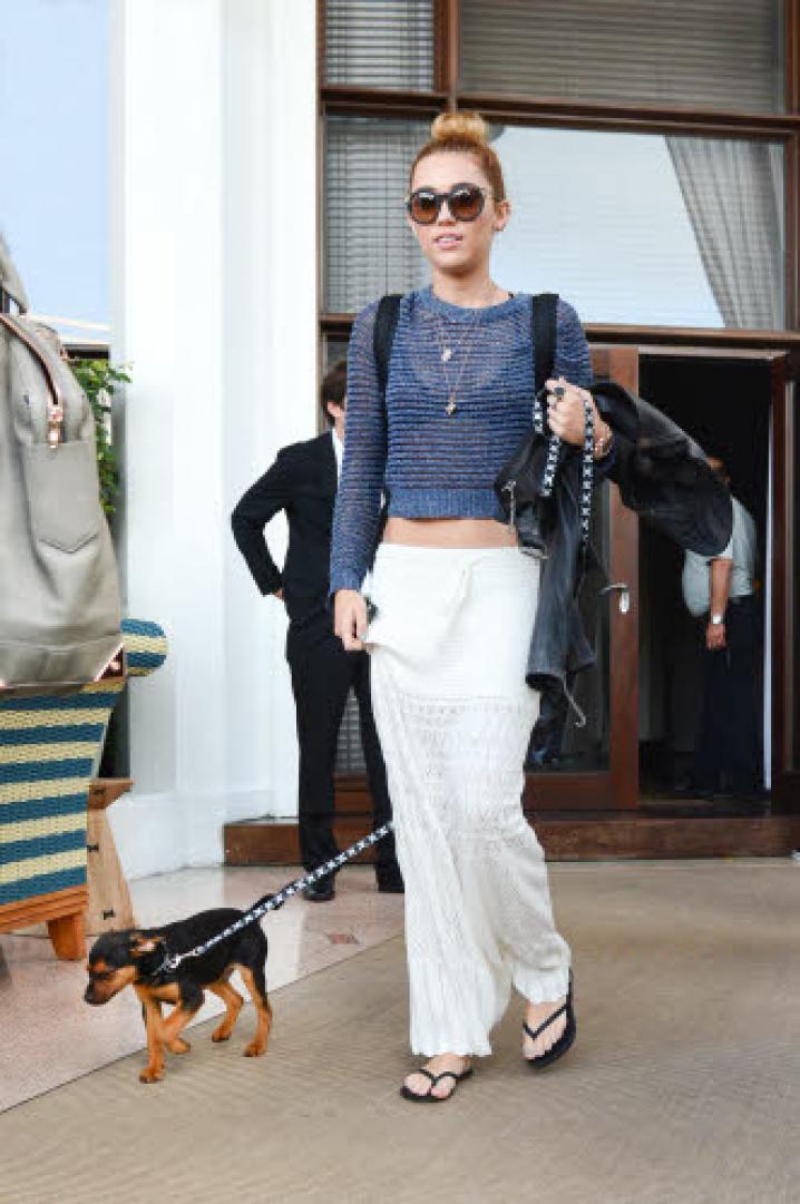 Reporters cyrus and dog 24