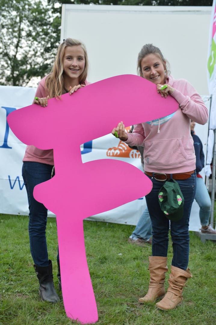 ronquieres festival grand f samedi (92).JPG