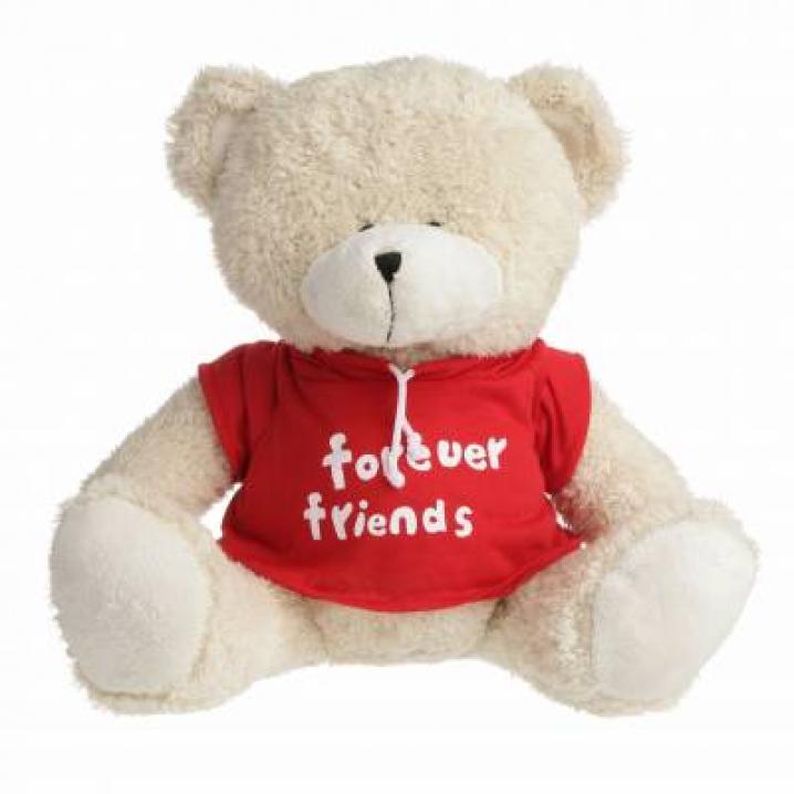 Ours en peluche 15 cm (blokker.be), 4,99â‚¬