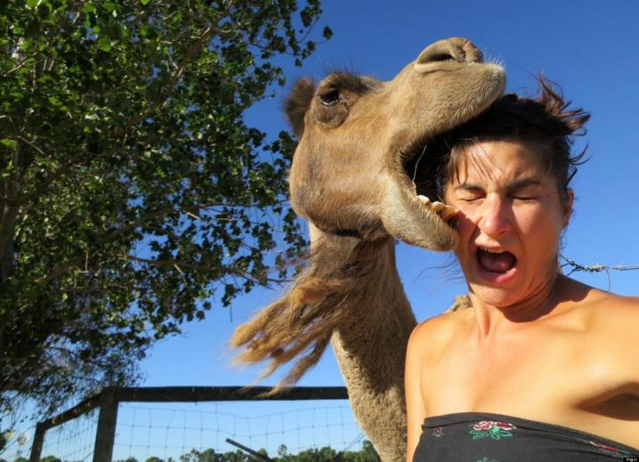 Selfies met dieren, kunnen zelfs nog grappiger