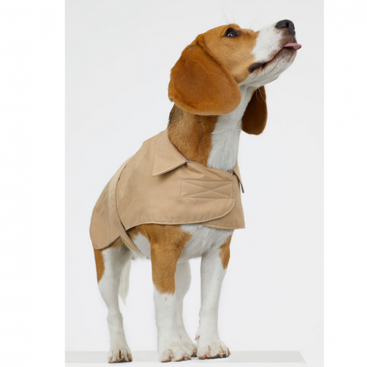 vroegrijp Grazen Proberen TREND: Hema en H&M pakken uit met belachelijk schattige regenjasjes voor  honden