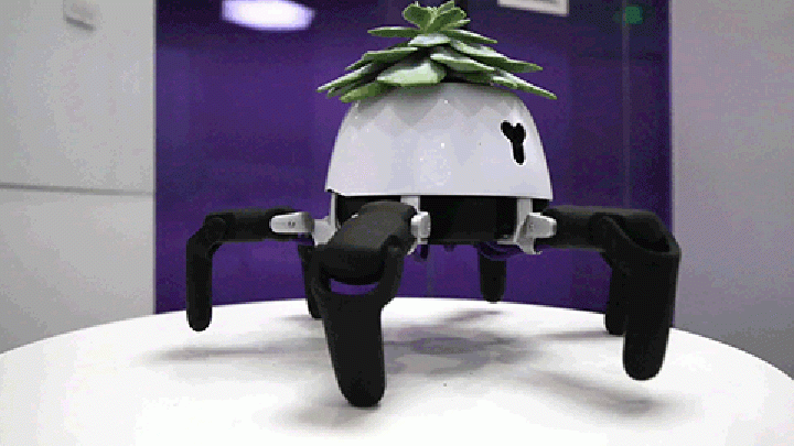 Plantenrobot