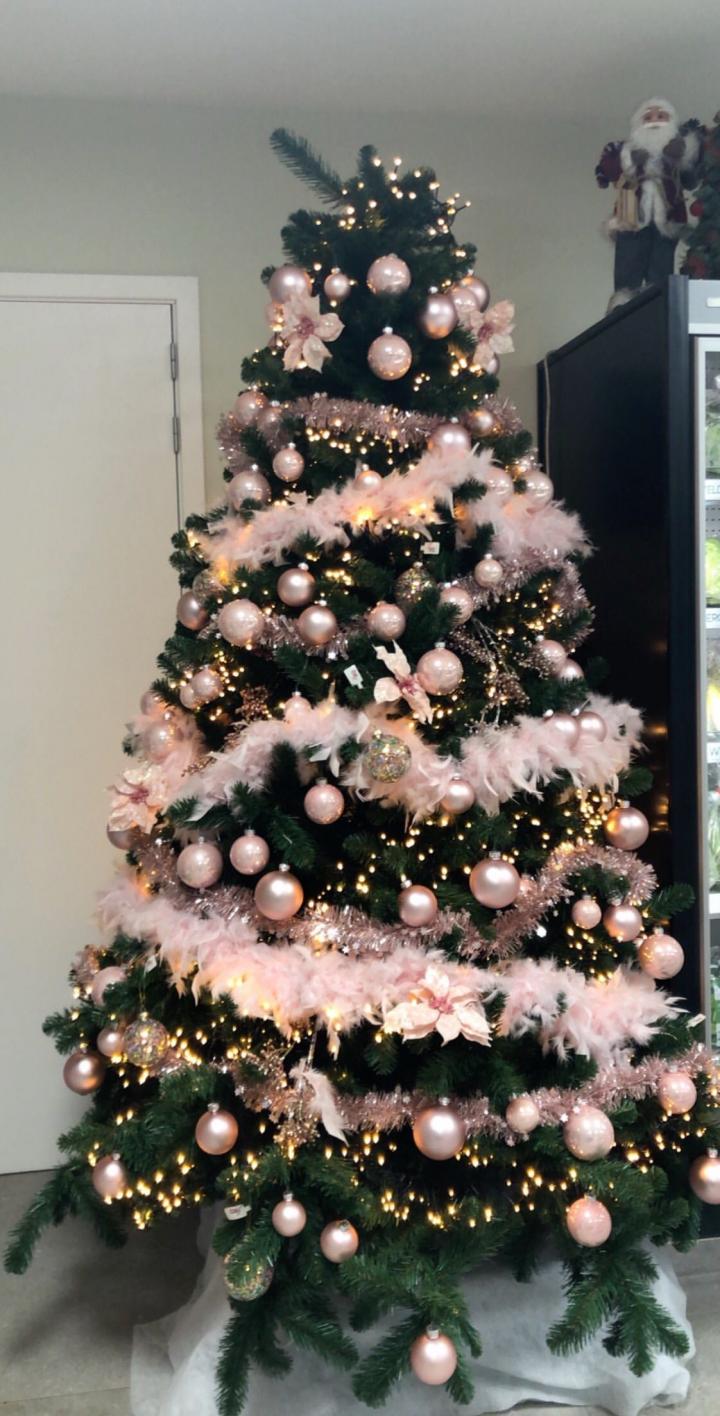 zebra Centrum Pionier Kerstbomen: dit zijn jullie 17 mooiste en origineelste exemplaren