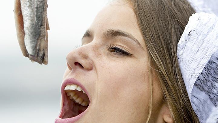 4 heerlijke recepten met maatjes 4 heerlijke recepten met maatjes