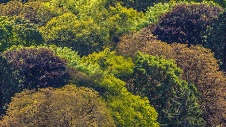 Herfsttip: de 5 mooiste wandelingen Herfsttip: de 5 mooiste wandelingen