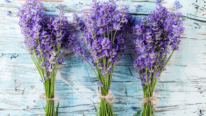 15 x lentebloemen op je tafel 15 x lentebloemen op je tafel