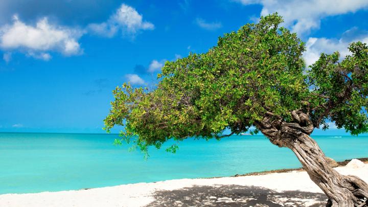 5 droomstranden van de Caraïben 5 droomstranden van de Caraïben