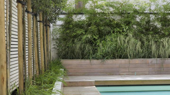 Conseils pour votre jardin de ville Conseils pour votre jardin de ville