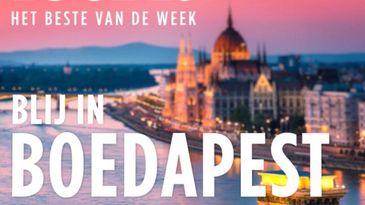 Download de nieuwe editie van feel.it Download de nieuwe editie van feel.it