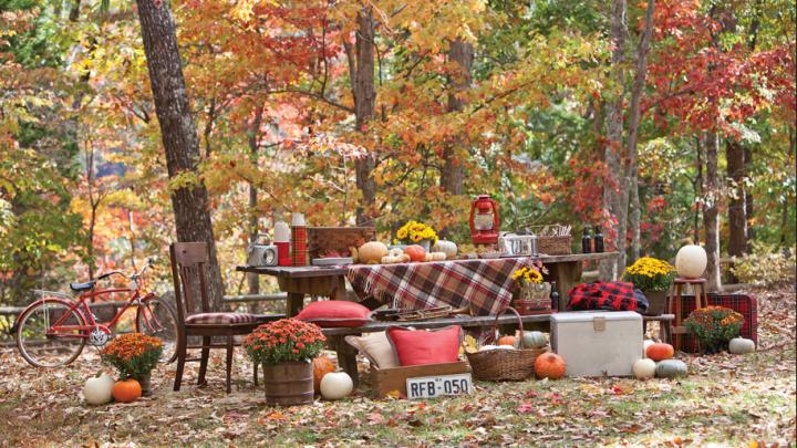 5 X tips voor een herfstpicknick 5 X tips voor een herfstpicknick