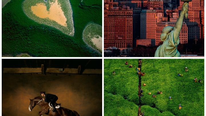 Yann Arthus-Bertrand: un photographe engagé Yann Arthus-Bertrand: un photographe engagé