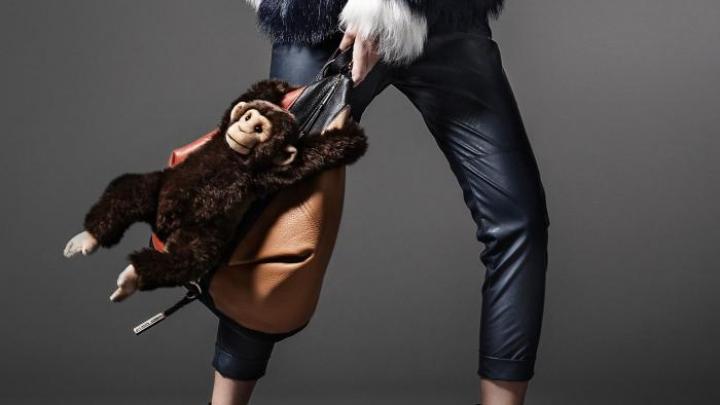 Must-Have: l'accessoire animal Must-Have: l'accessoire animal
