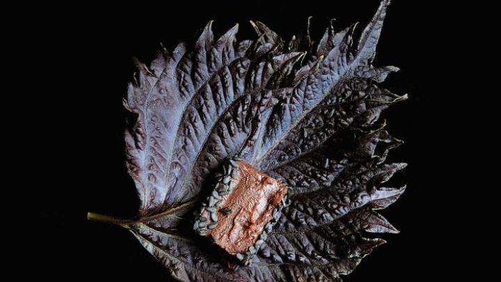 Chocolademania: Zo geniet jij optimaal van chocolade Chocolademania: Zo geniet jij optimaal van chocolade