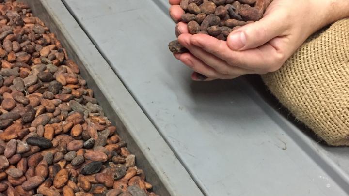 Visite: dans l’antre de Marcolini Visite: dans l’antre de Marcolini