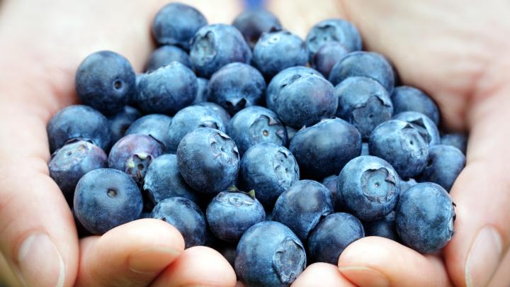 10 x budgetvriendelijke superfoods van bij ons 10 x budgetvriendelijke superfoods van bij ons