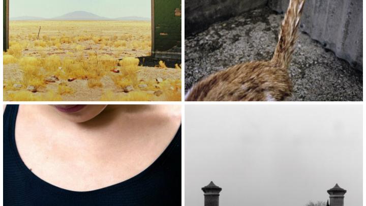 Expo-vente au profit du Musée de la Photographie Expo-vente au profit du Musée de la Photographie