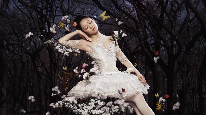 The Sleeping Beauty The Sleeping Beauty