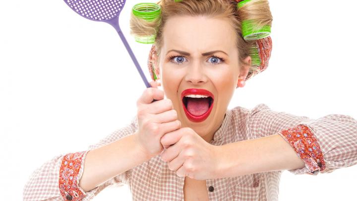 8 tips om vliegen voorgoed buiten te houden 8 tips om vliegen voorgoed buiten te houden