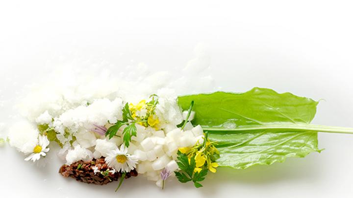 Dit is het beste Vlaamse groenterestaurant in 2016 Dit is het beste Vlaamse groenterestaurant in 2016