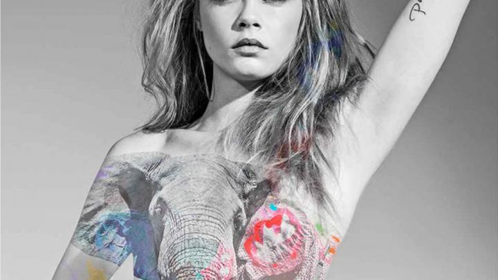 Cara Delevingne uit de kleren tegen dierenleed Cara Delevingne uit de kleren tegen dierenleed