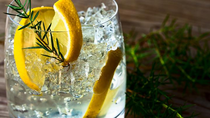 5 adressen voor een heerlijke gin 5 adressen voor een heerlijke gin