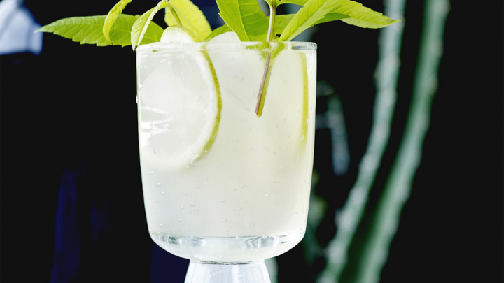 Aperitief: verfrissende ouzo met citrus Aperitief: verfrissende ouzo met citrus