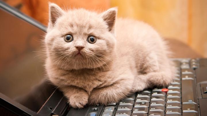 Le web pour tous a 25 ans! Le web pour tous a 25 ans!