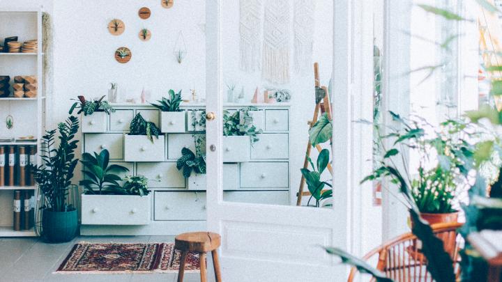 The Plant Corner: voor wie geen groene vingers heeft The Plant Corner: voor wie geen groene vingers heeft